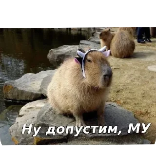 Telegram sticker 🐶 Больше стиков тут: @stikery4