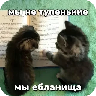 Telegram sticker 🥰 Больше стиков тут: @stikery4