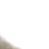 Video sticker 😀 cats ➜ @emoji1