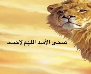 Telegram sticker 🦁 @shmmz2 back 4