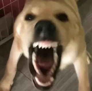 Telegram sticker 😒 澳门六合彩交流群@amlhc777