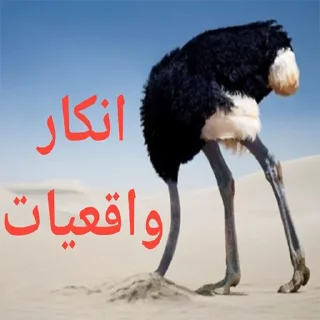 Video sticker 🙈 شکنجه خروس و توپ اصولی rebirth