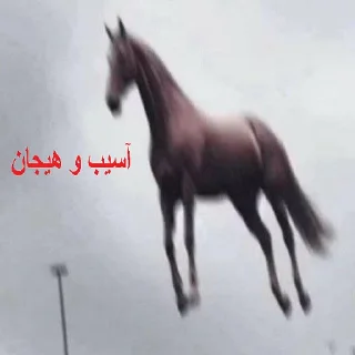 Telegram stiker 🐴 شکنجه خروس و توپ اصولی rebirth