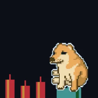 Video sticker 🚀 Cashdog $2PCT