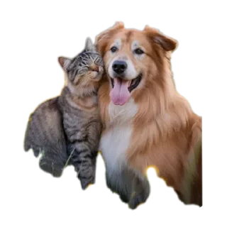 Telegram sticker 🐶 @Madre_Tierra_5D animales