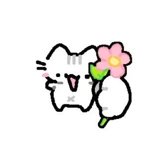 Video sticker 🌹 котики котики