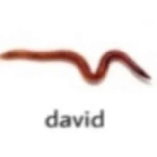 Telegram sticker 👍 Мозга нет