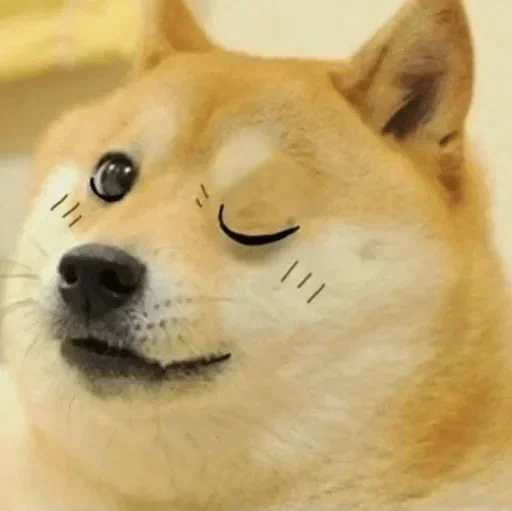 Telegram sticker 🤨 { @lemoncheats }