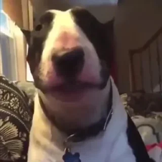 Telegram sticker 👽 Sorcier's Ultimate Sticker Pack