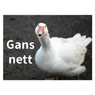 Sticker 🦆 Gans