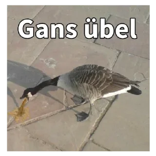 Telegram sticker 🦆 Gans