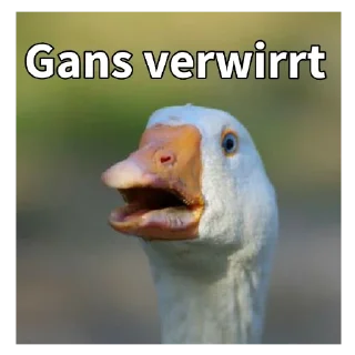 Telegram sticker 🦆 Gans