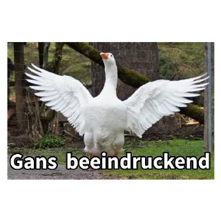 Telegram sticker 🦆 Gans