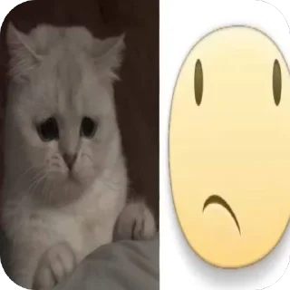 Video sticker 🙁 Heh:3