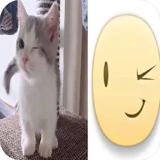 Телеграм стикер 😉 Heh:3