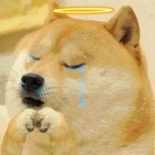 Telegram sticker 😢 Dk cheems pack