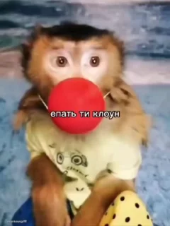 Video sticker 🌟 Больше стиков тут: @stikery4