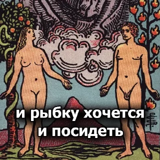 Video sticker 🤷‍♂️ Таро база @tarobaza