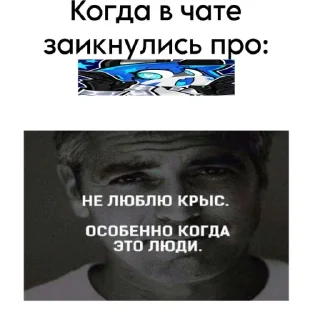 Video sticker 👍 стрим и тишь 13-20.09.25