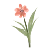 Video sticker 🌷 @rzyus7 :: @fStikBot