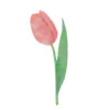 Video sticker 🌷 @rzyus7 :: @fStikBot