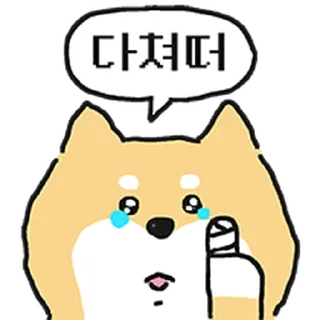 Video sticker ⭐ 엄살 시바 @moe_sticker_bot