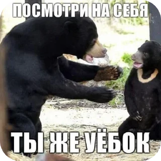 Telegram sticker 🖼 Солевые камешки