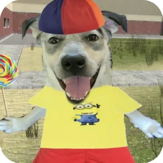 Telegram sticker 🐶 Солевые камешки