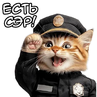 Video sticker 🫡 Больше стиков тут: @archstick