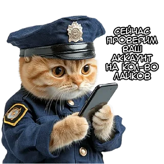 Телеграм стикер 🧐 Больше стиков тут: @archstick