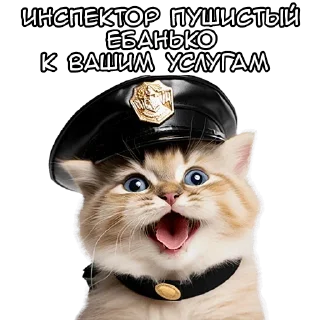 Телеграм стикер 🤪 Больше стиков тут: @archstick