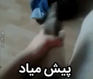 Video sticker 😓 موز دزد @behrad1014