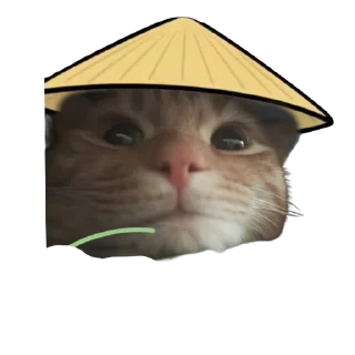 Sticker 👍 勺子🥄 @chddsz
