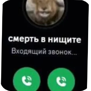 Telegram sticker 👍 Пж отмените мдк