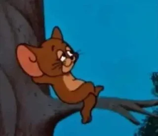 Video sticker 😎 jerry's collection