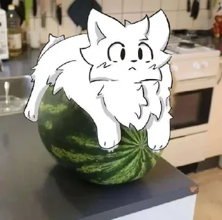 Video sticker 🍉 Purrgatory 2 @lemonsoder