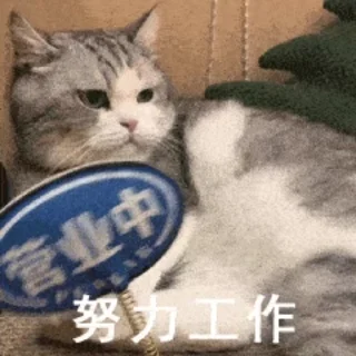 Video sticker 🌟 短信电话轰炸｜表情包85 @xiatianddeye