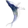 Sticker 🐋 ABEL │ @lancaster_sims4 │ @ephiemera_fonts