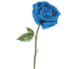 Sticker 🥀 ABEL │ @lancaster_sims4 │ @ephiemera_fonts