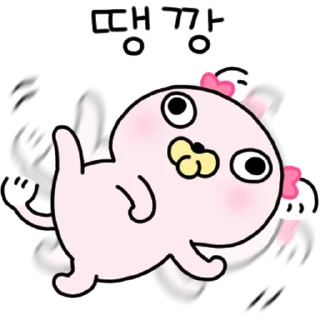 Video sticker ⭐ 빡빡개 강사장 5 @manbull_sticker_bot