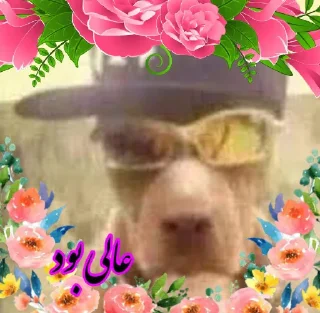 Telegram sticker 🤡 @redtard لطفا صبور باشید من اوتیسم دارم