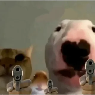 Telegram sticker 🤡 @redtard لطفا صبور باشید من اوتیسم دارم