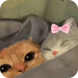 Телеграм стикер 🐱 Lupinhareidosexo