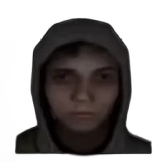 Video sticker 😘 @Silcker_bot stickers