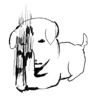 Video sticker ⭐ [패키지] 듀.. 가나디 5 @moe_sticker_bot