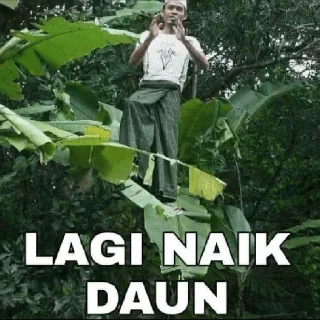 Video sticker 😀 Meme Indonesia