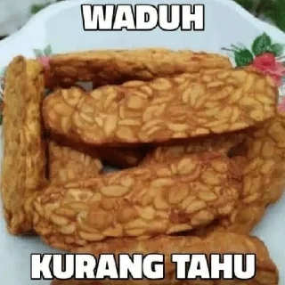 Video sticker 😀 Meme Indonesia