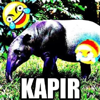 Telegram sticker 😀 Meme Indonesia