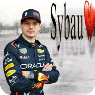 Telegram sticker ⛑ F1 team