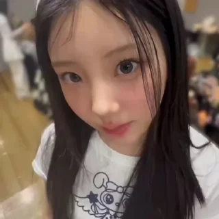 Video sticker 🐿️ @wonhee_com